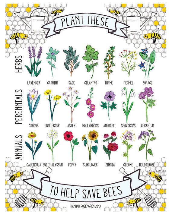 8x10-plant-these-to-help-save-bees-print