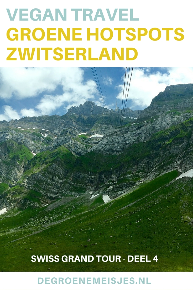 Zwitersland, ik keek er naar uit om de bergen te zien. Dit werd een bijzondere ervaring, met de kabelbaan omhoog.