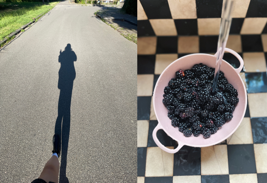zomer favorieten
