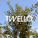 twello