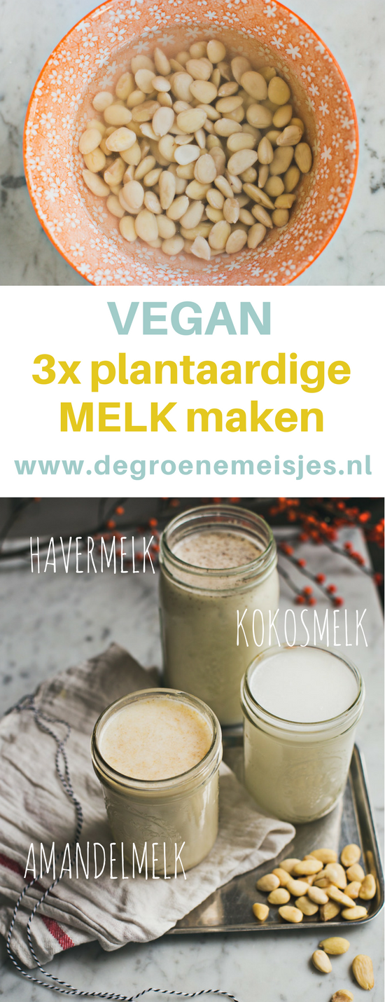 Maak zlef 3 soorten plantaardige vegan melk met deze uitgebreide uitleg voor amandelmelk, havermelk en kokosmelk