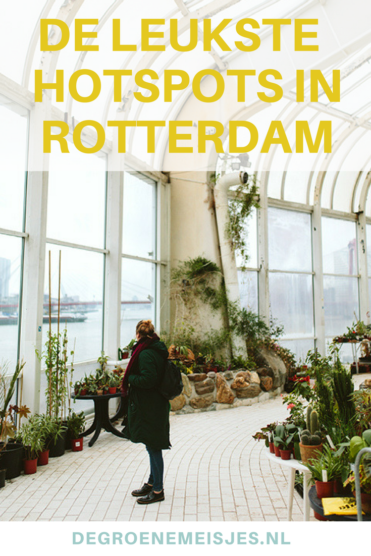 Mijn favoriete plekken in Rotterdam voor koffie, lunch en diner. Adressen met goede vegan opties. Bekijk ook mijn andere posts over R'dam voor meer tips!